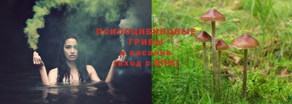 экстази Арсеньев
