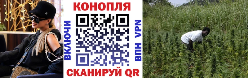 Конопля гибрид наркотики Харовск